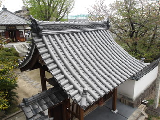 100_0035.JPG