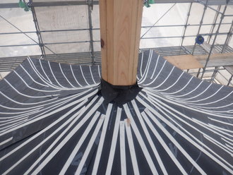DSCF8185.JPG