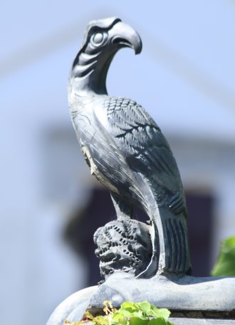 IMG_5099.JPG