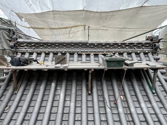 IMG_6447.jpg