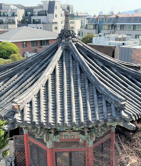 IMG_7383.jpg