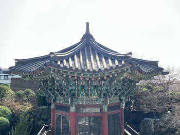 IMG_7392.jpg