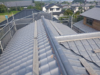 S0246072.JPG