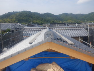S0286079.JPG