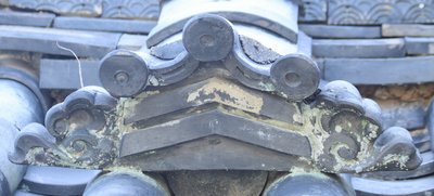 IMG_5160.JPG