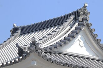 IMG_7324.JPG