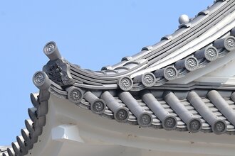 IMG_7327.JPG