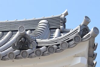 IMG_7333.JPG