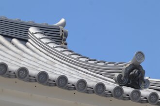 IMG_7335.JPG