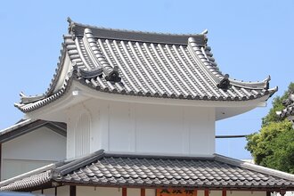 IMG_7341.JPG