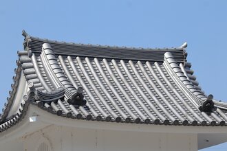 IMG_7342.JPG
