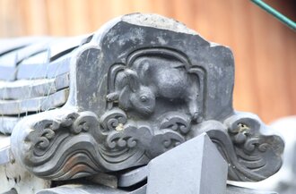 IMG_7516.JPG